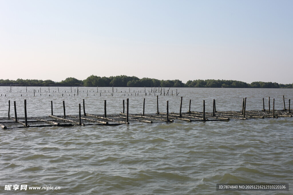 水上木桩围栏风景