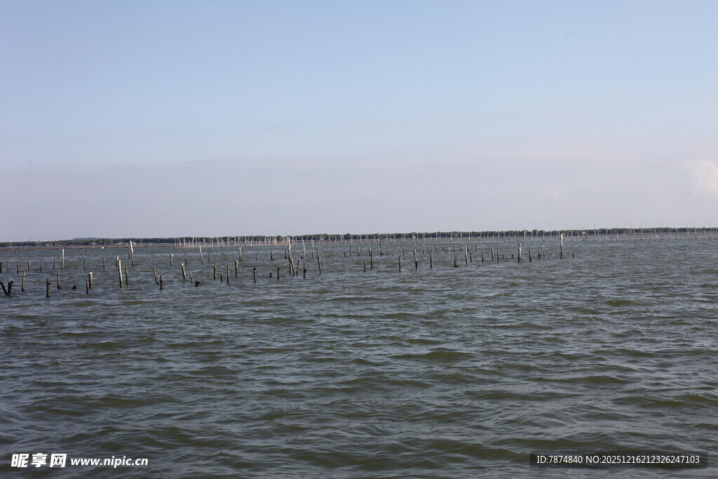 广阔水域中的养殖场景