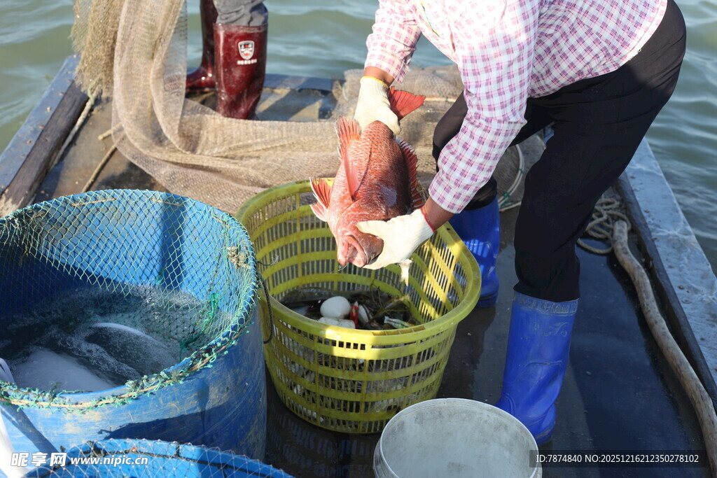 渔民船上处理捕获的海鲜