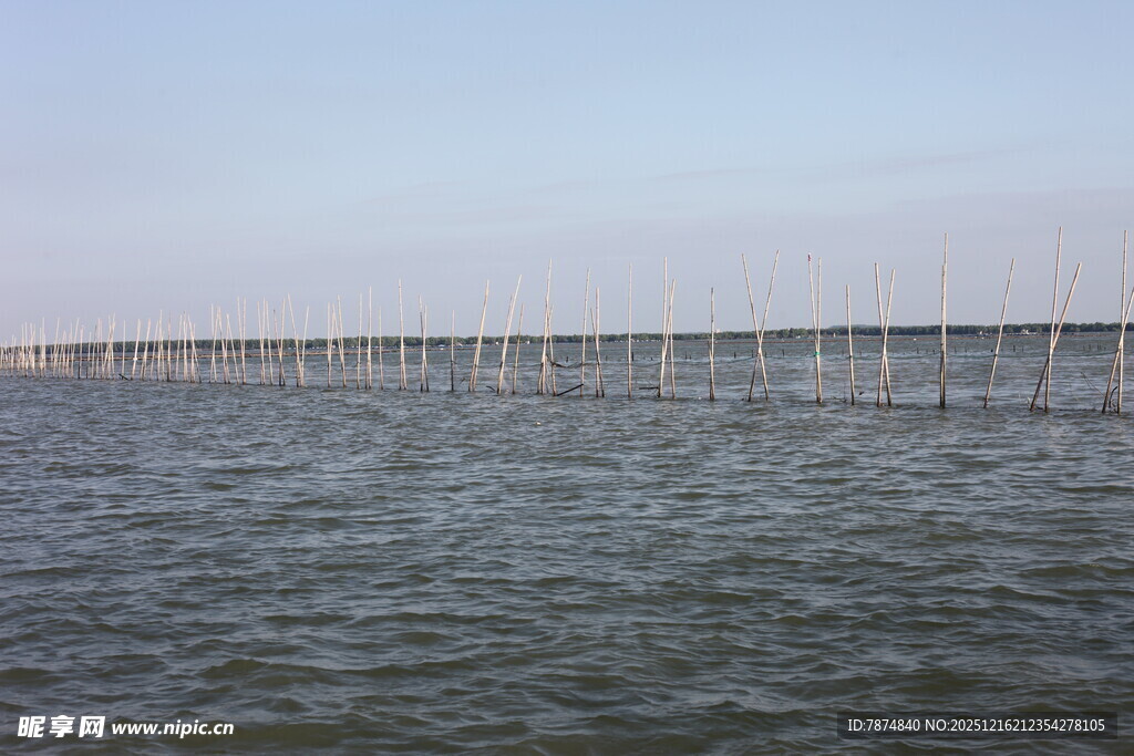 海上长桥横跨碧波
