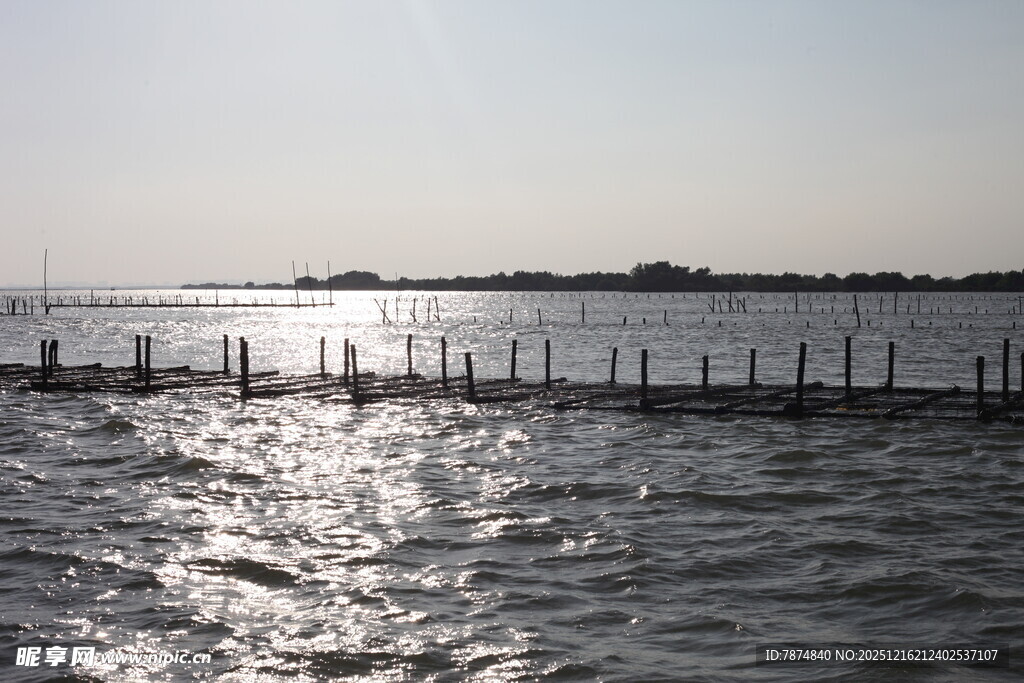 海上木桩与波光粼粼海面