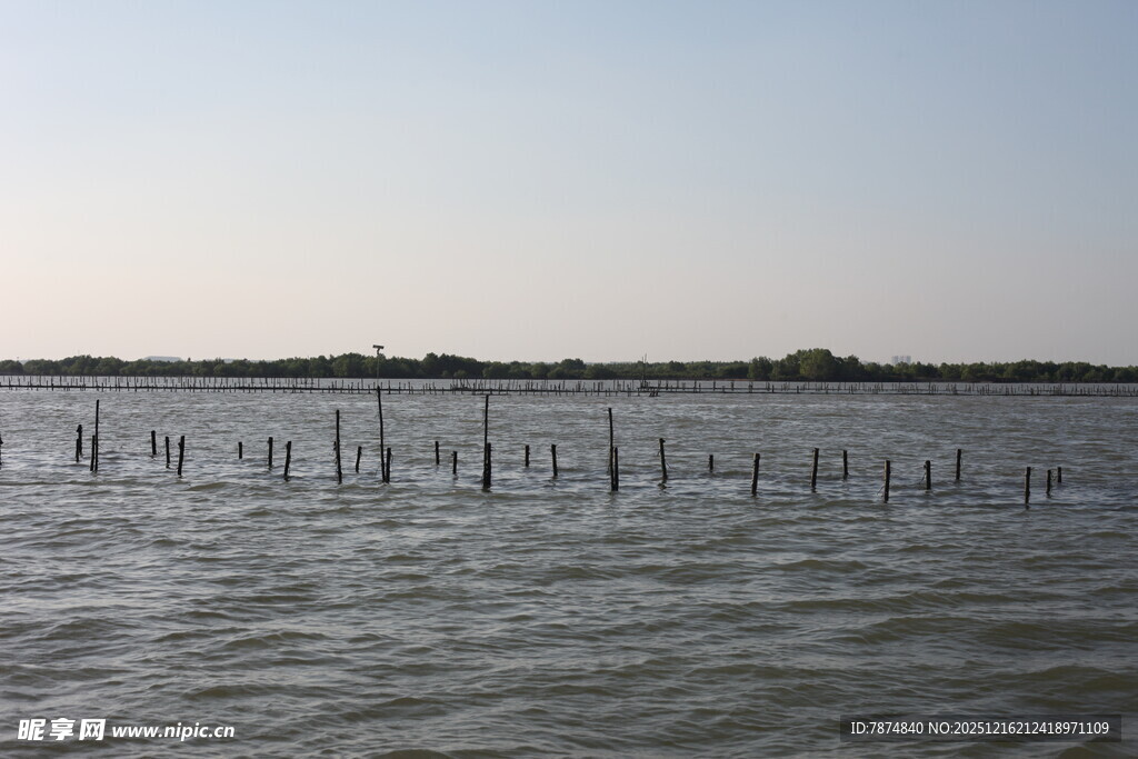海上木桩景观