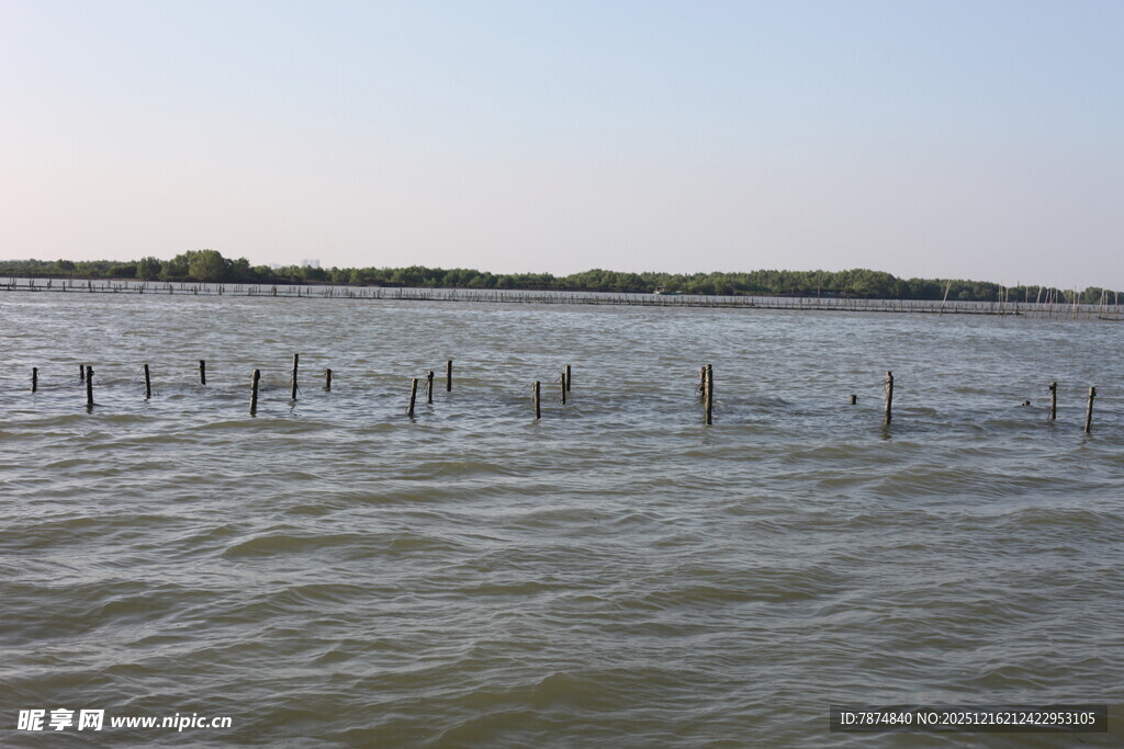 水域中的木桩景观