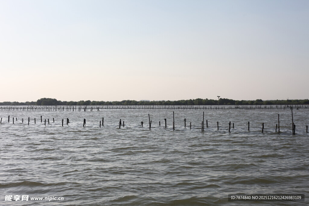 海上养殖场景