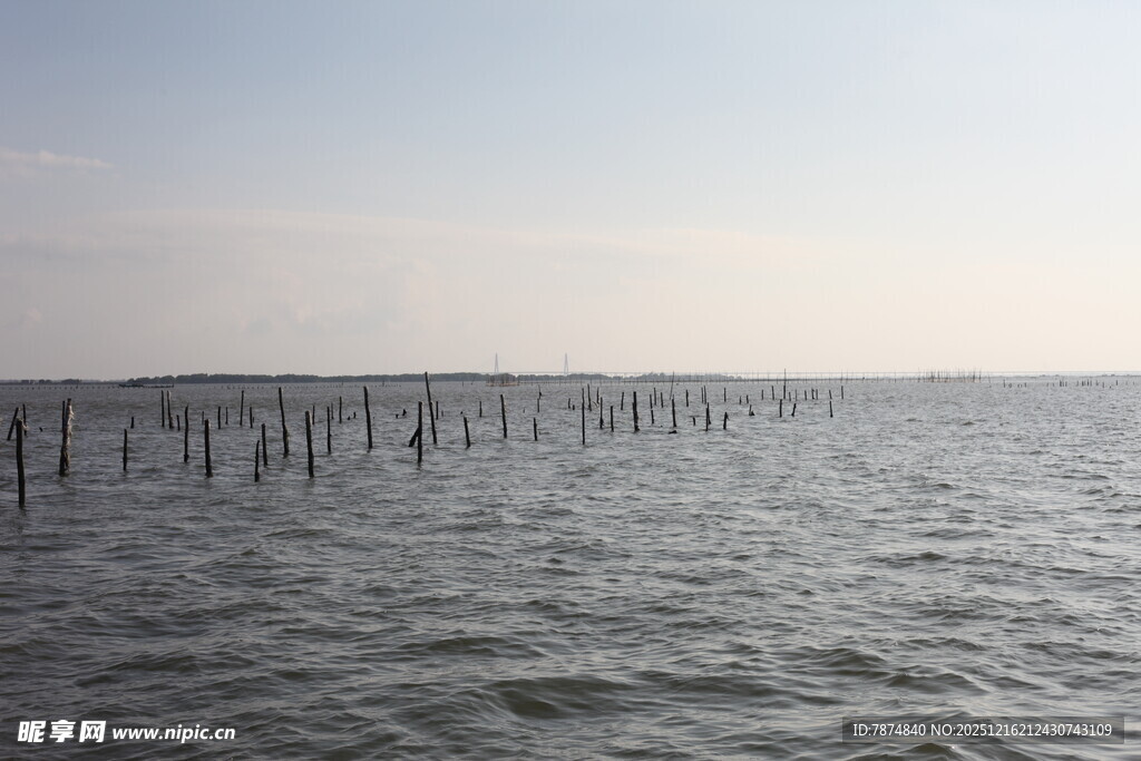 海上木桩延伸至远方