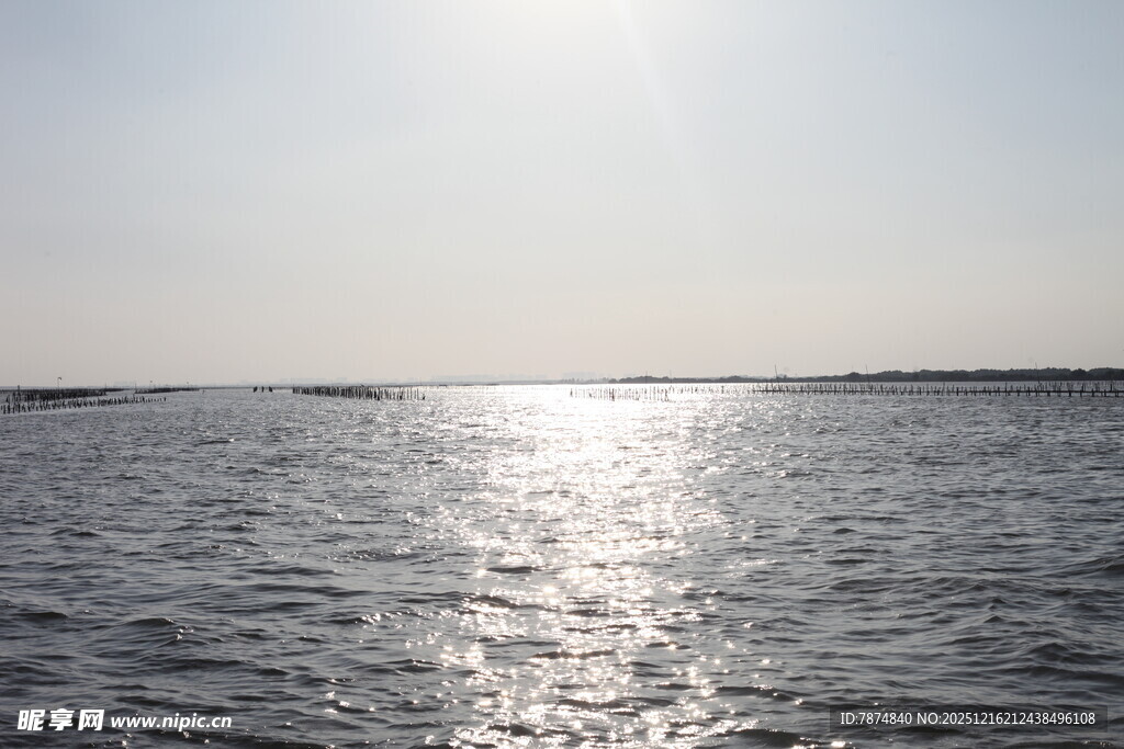 阳光下波光粼粼的海面