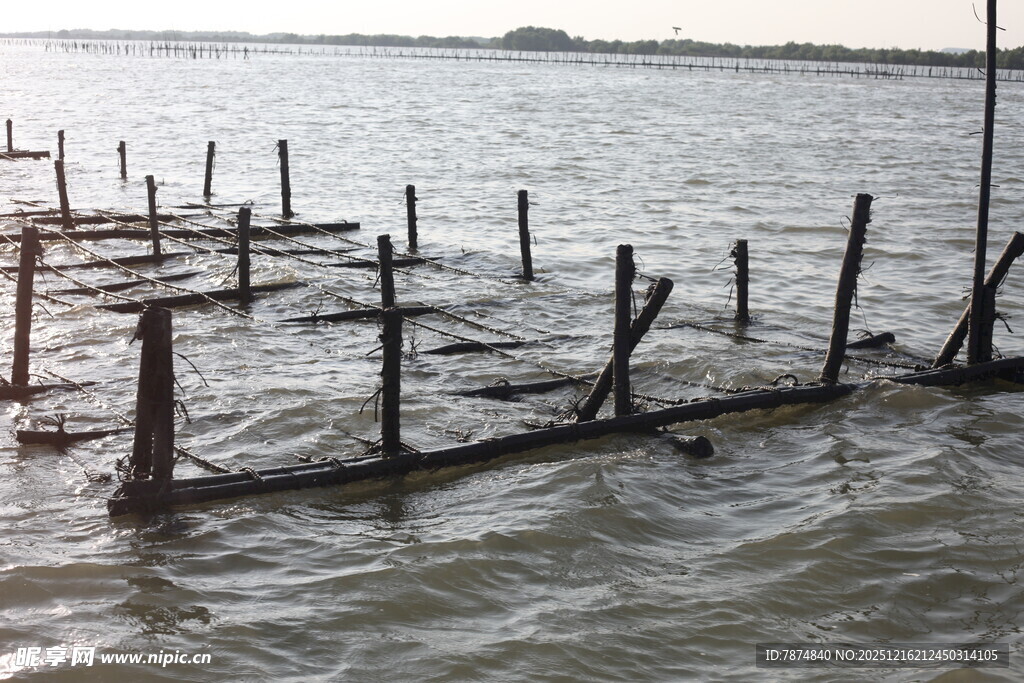 水中木桩遗迹
