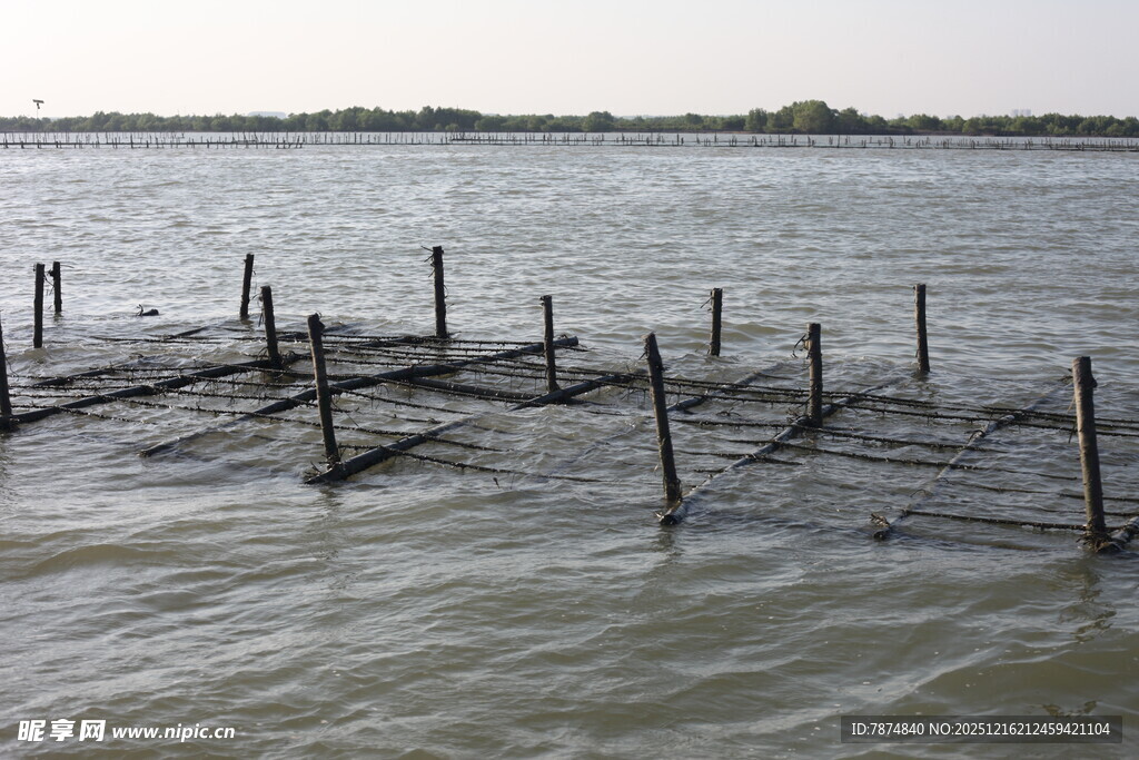 水上木桩设施景观