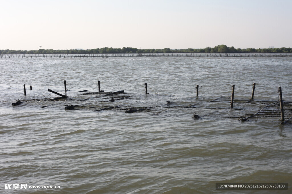 水上木桩设施景观