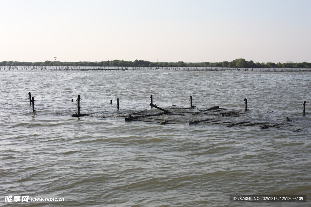 水上木桩设施景观
