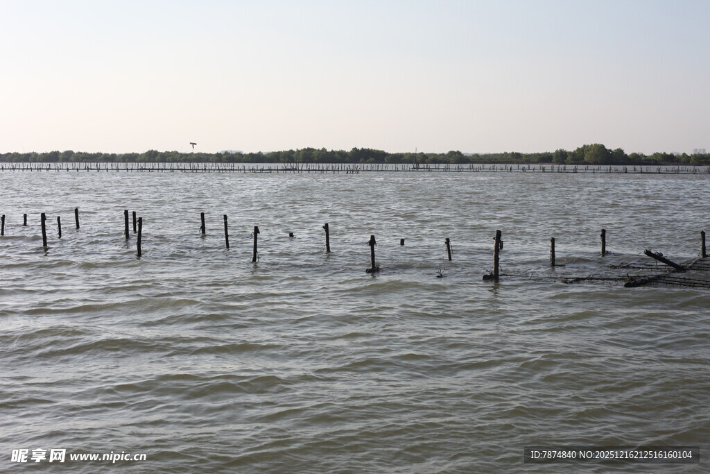 水上木桩景观