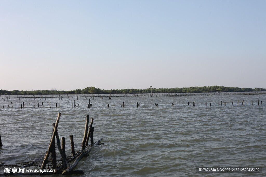 水域中的木桩与远处景致