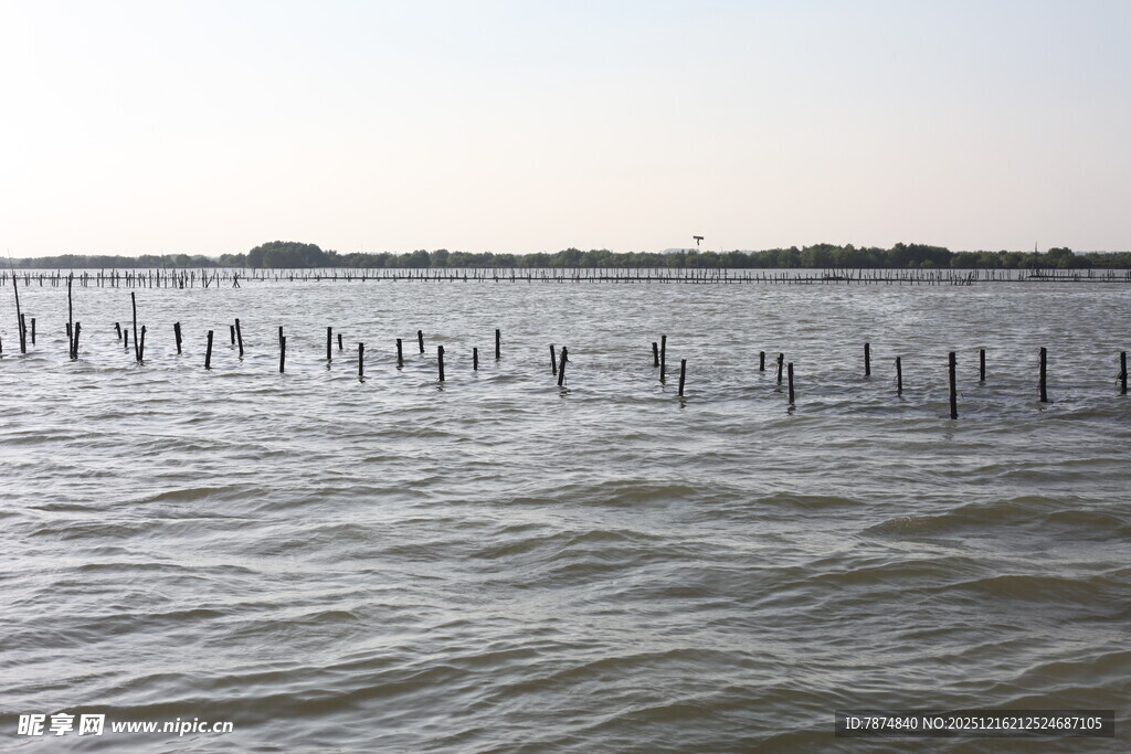 海上木桩景观