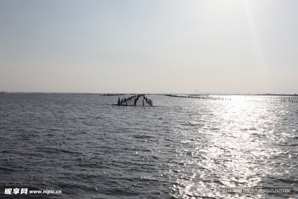 海上船只沐浴金色阳光