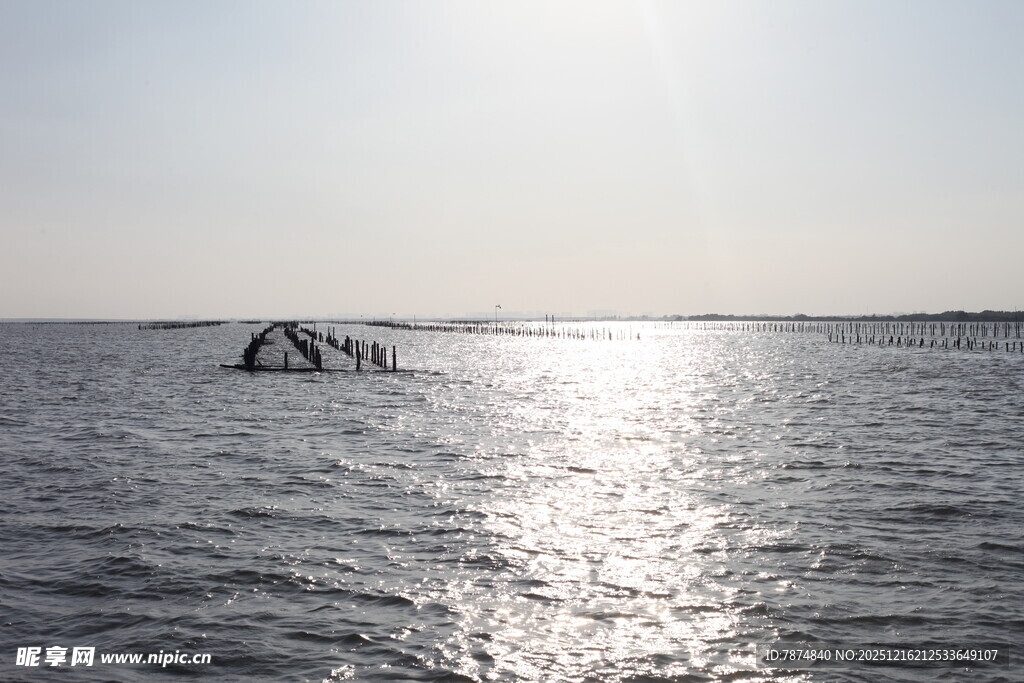 海面波光中的拱形物体