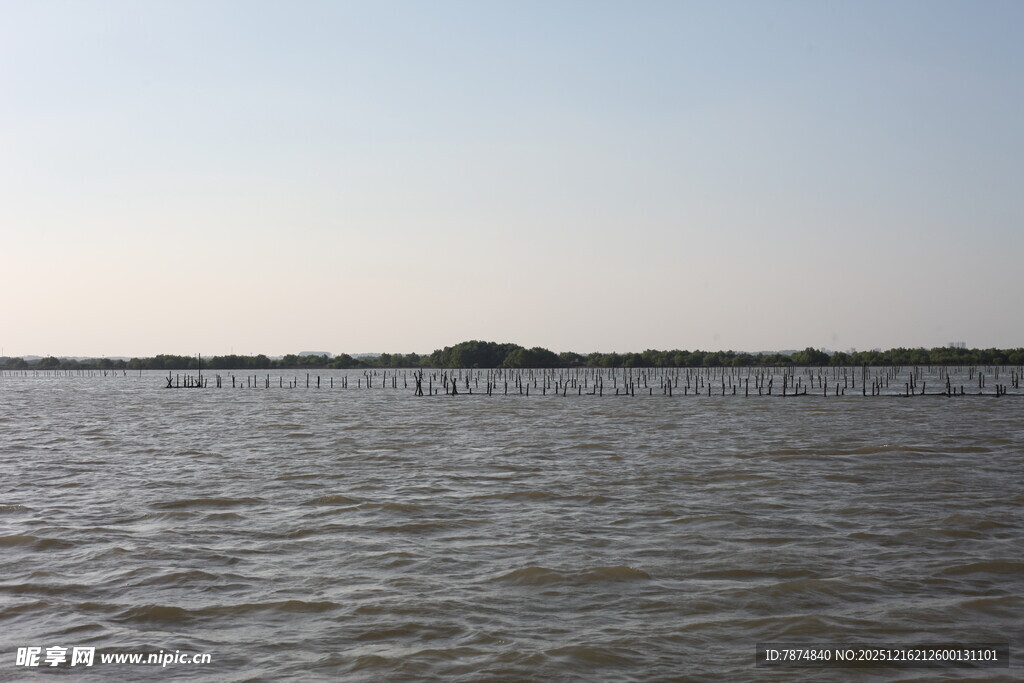 广阔水域的宁静景象