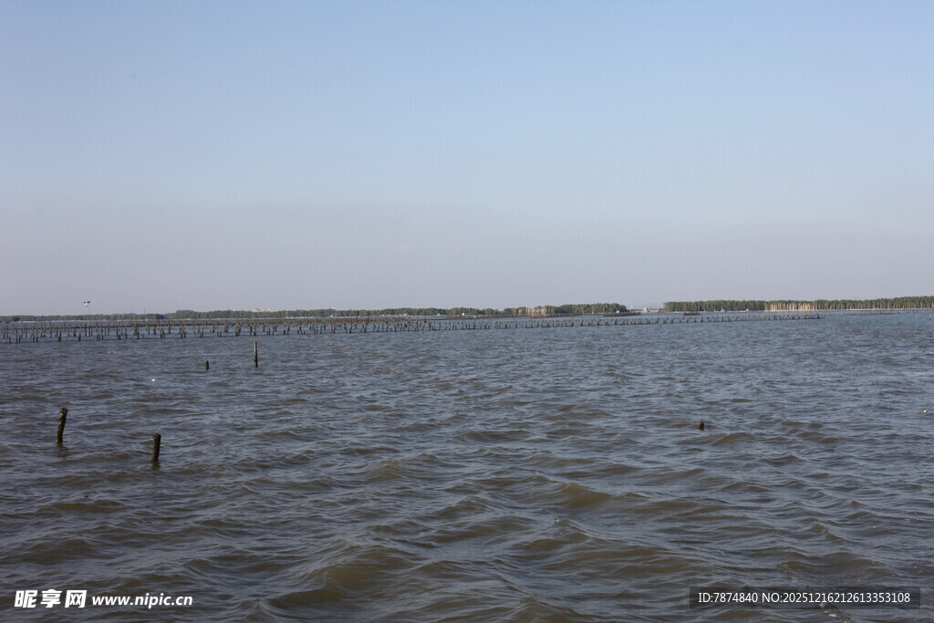广阔水域的宁静景象