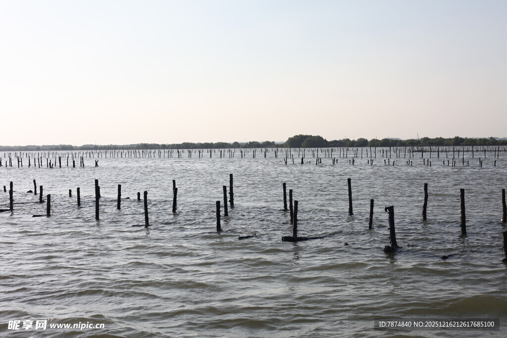 海上木桩景观