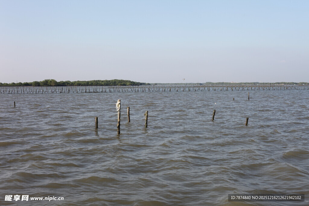 水域中的孤立木桩景观