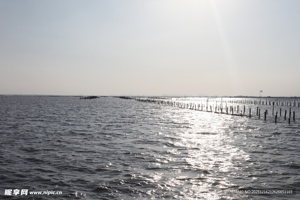 海上木桩倒影波光粼粼