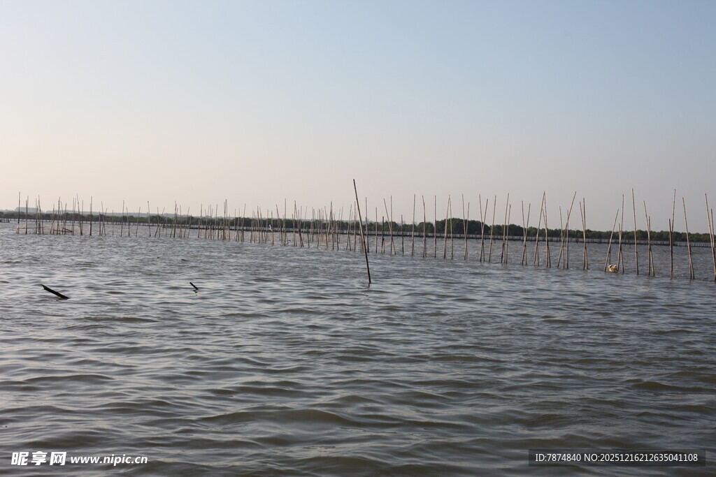 水域风光远处林立的杆状物