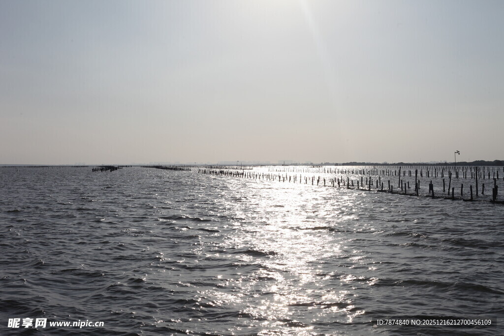 海上日光下的栈桥美景