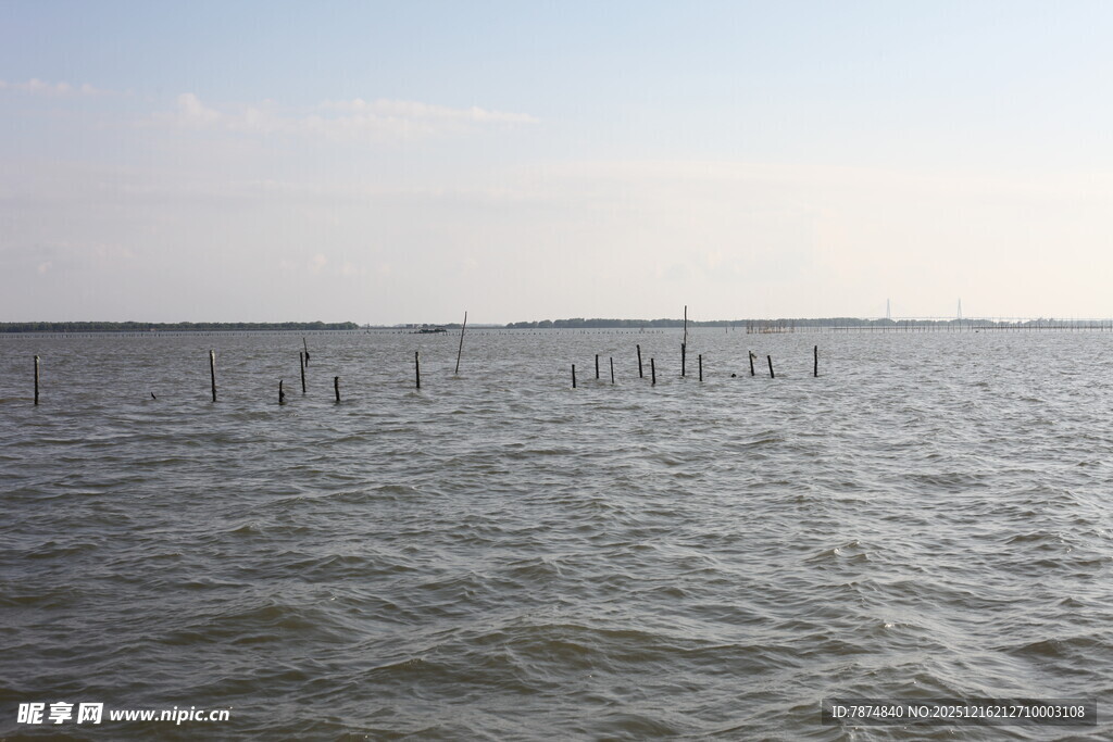 海上木桩景观