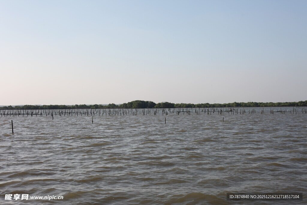 广阔水域景观