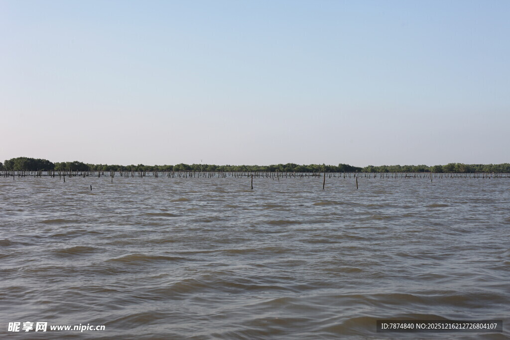 广阔水域的宁静景象