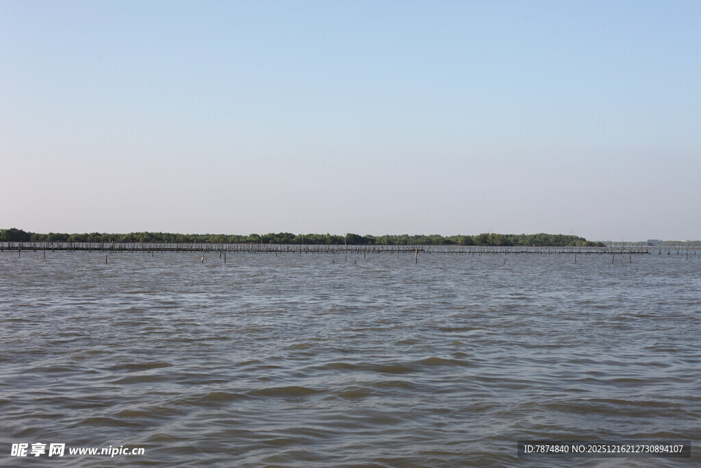 平静水域与远处岸线景观