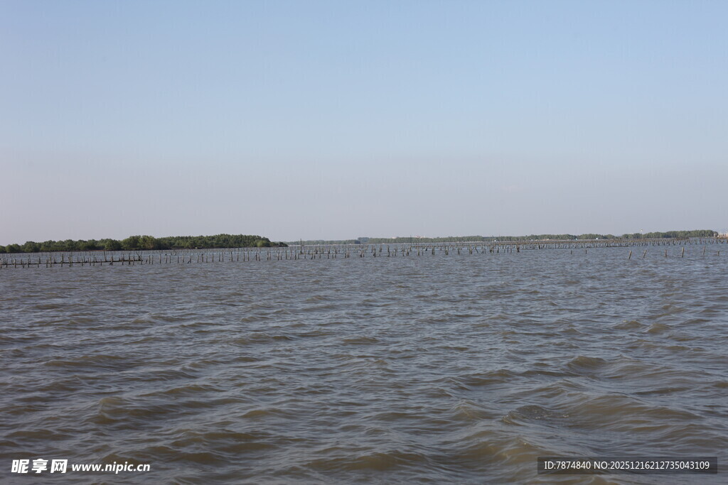 广阔水域与远处岸线景观