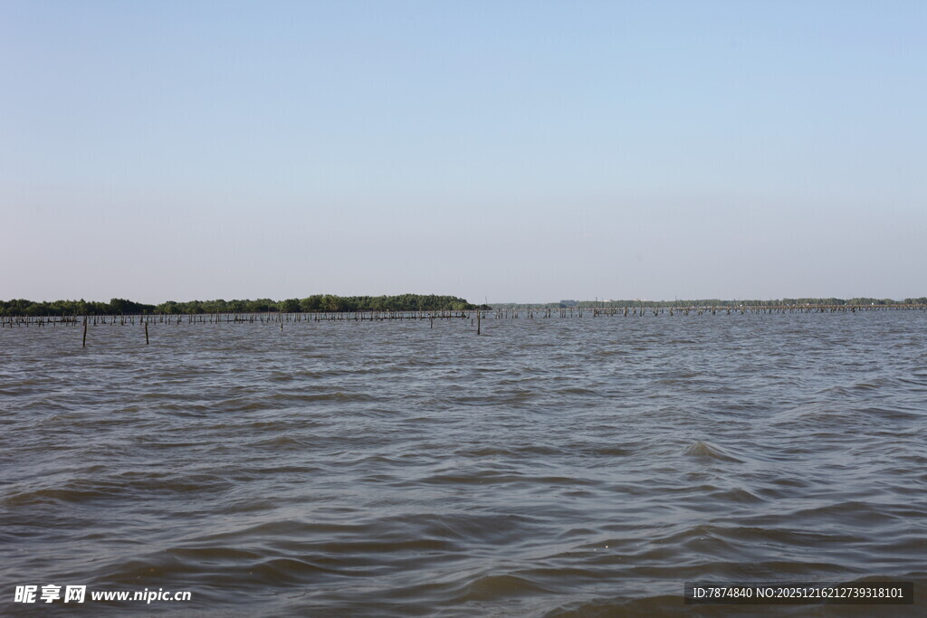 广阔水域的宁静景象