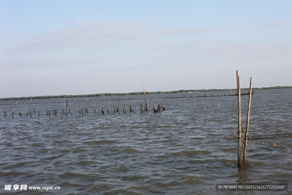 海上木桩景观