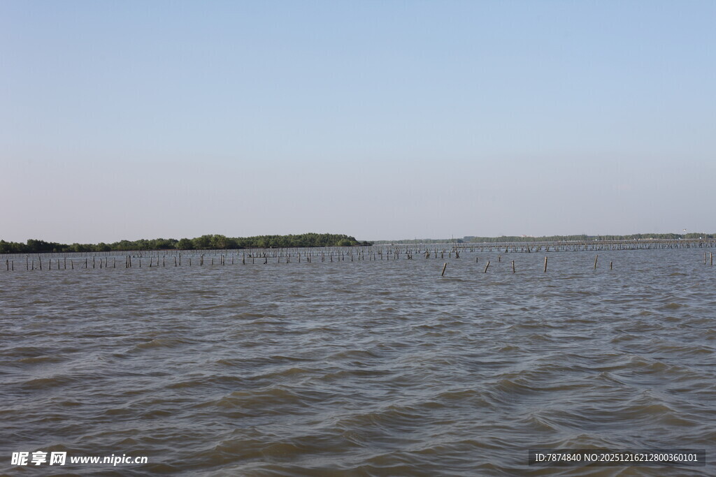 广阔水域与远处岸线景观