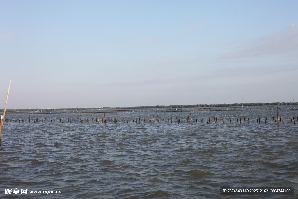 广阔水域上的长排设施