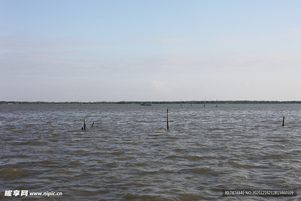 广阔水域中的稀疏木桩