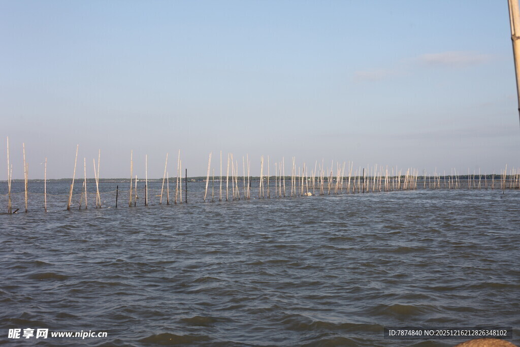 海上林立的养殖设施