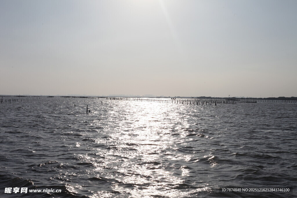 阳光下波光粼粼的海面