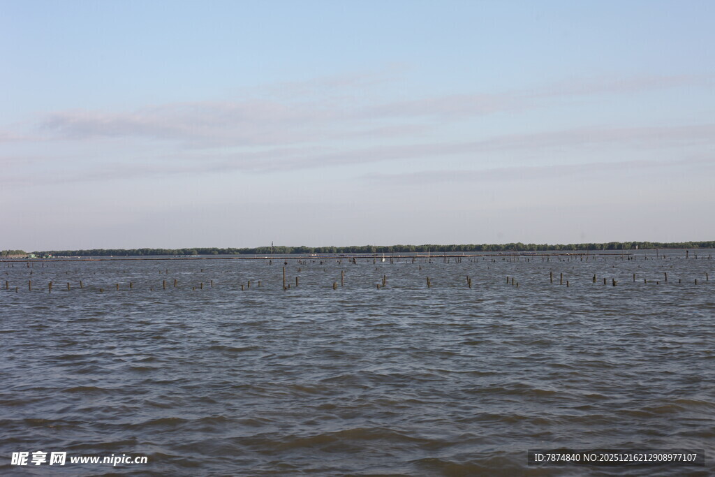 广阔水域与天际线景观