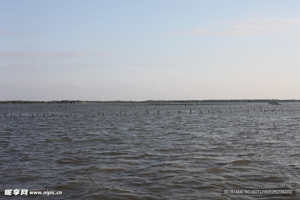 广阔海面的宁静景象