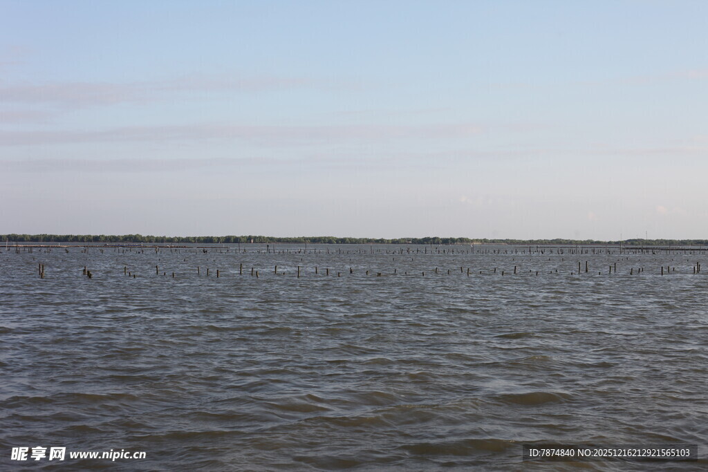 广阔水域的宁静景象