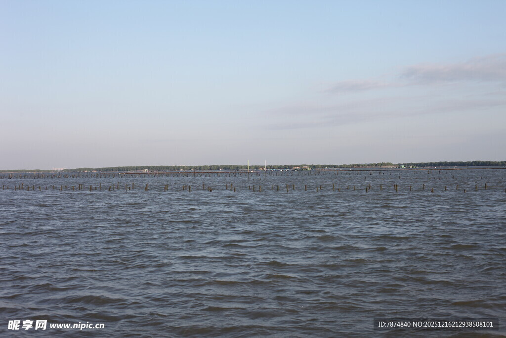 广阔海面水波荡漾