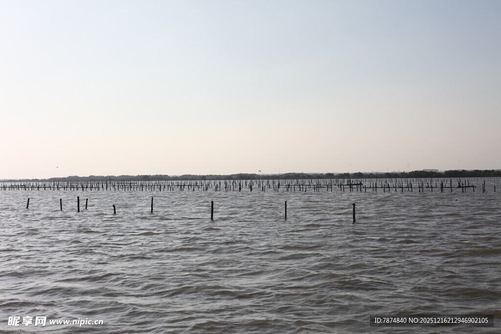 海上养殖场景