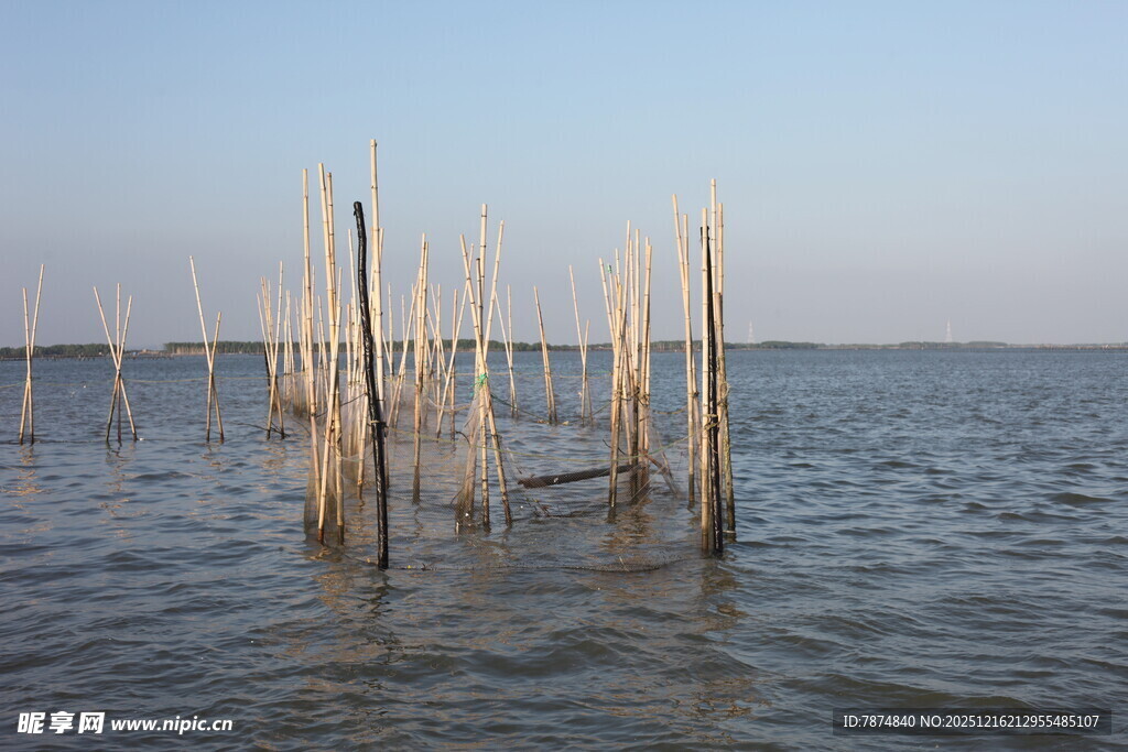 海上木桩景观