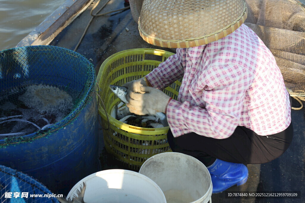 渔妇分拣收获的鱼虾