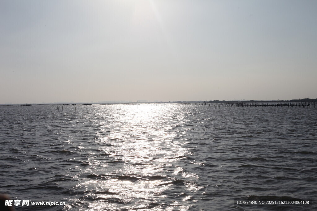 阳光下波光粼粼的海面