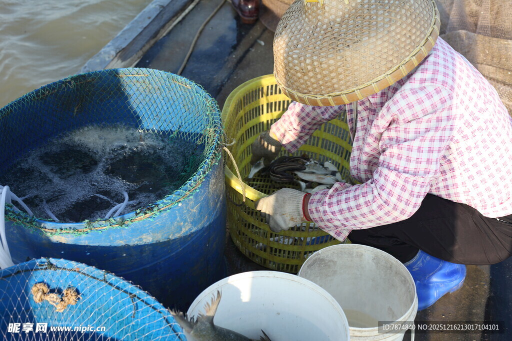 渔民船上分拣收获的鱼货