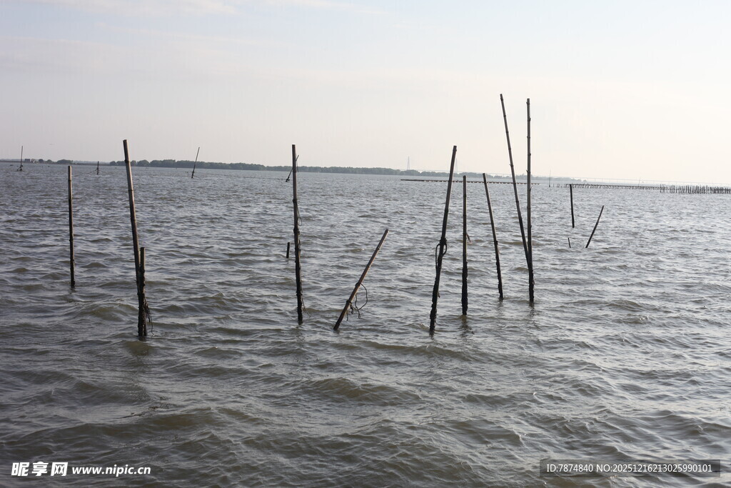 海上木桩景观