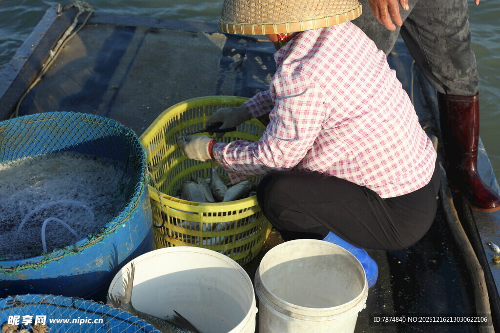 船上劳作的戴斗笠女性