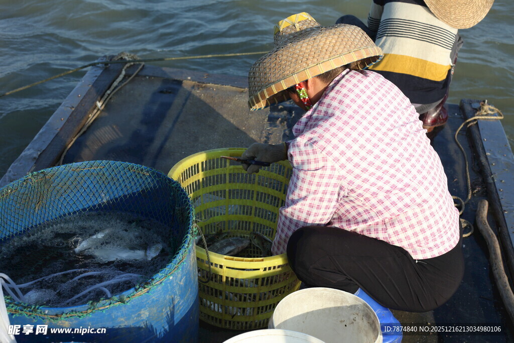 渔民船上分拣水产